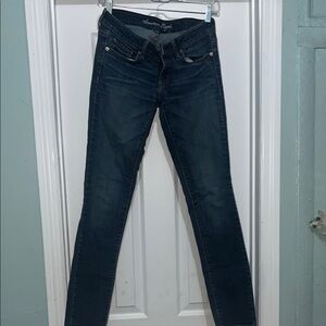 American Eagle Outfitters Blue Skinny Jeans